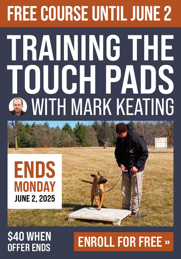 Free Course: Training the Touch Pads with Mark Keating