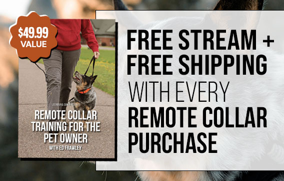 Free Stream + Shipping with Every Remote Collar Purchase