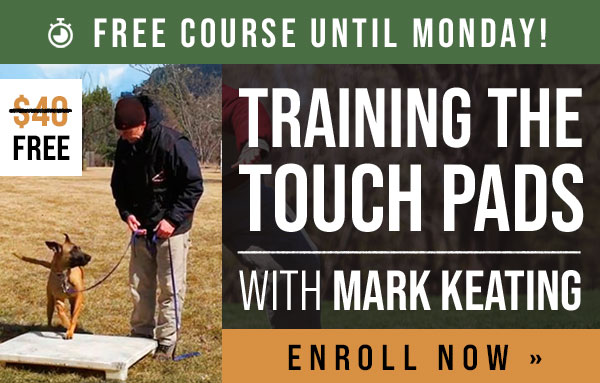 Free Course: Training the Touch Pads with Mark Keating