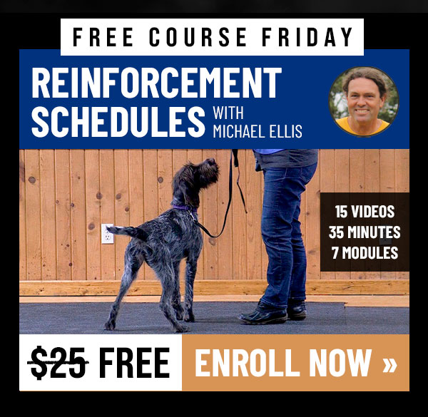 Free Course: Reinforcement Schedules with Michael Ellis