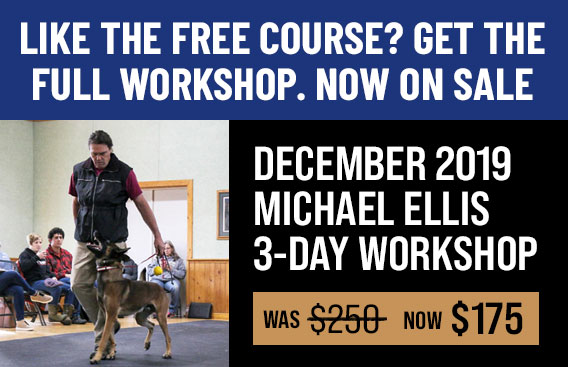 Liked Reinforcement Schedules? Get the full 3-Day Michael Ellis Workshop