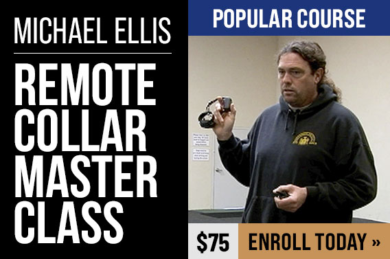 Remote Collar Master Class with Michael Ellis