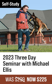 2023 Three Day Seminar with Michael Ellis