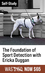 The Foundation of Sport Detection