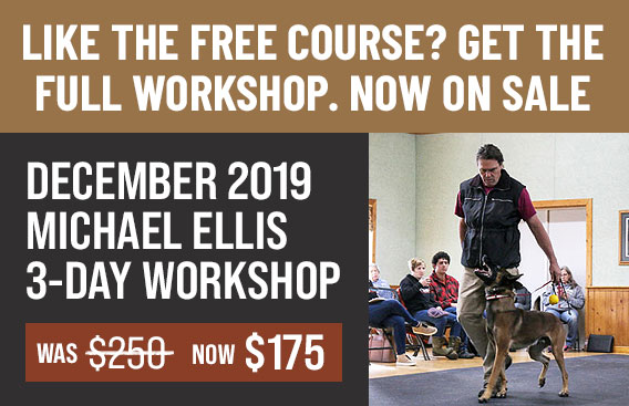 Liked Reinforcement Schedules? Get the full 3-Day Michael Ellis Workshop