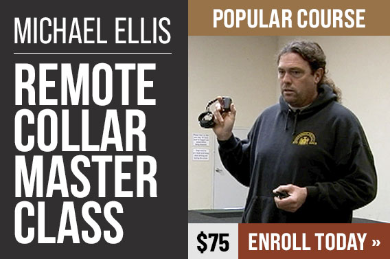 Remote Collar Master Class with Michael Ellis