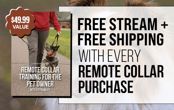 Free Stream + Shipping with Every Remote Collar Purchase