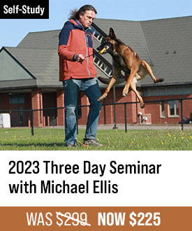 2023 Three Day Seminar with Michael Ellis