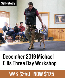 December 2019 Michael Ellis Three Day Workshop