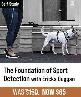 The Foundation of Sport Detection