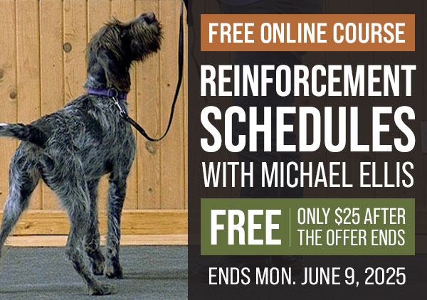 Free Course