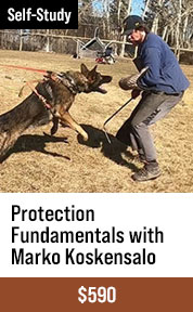 Protection Fundamentals
