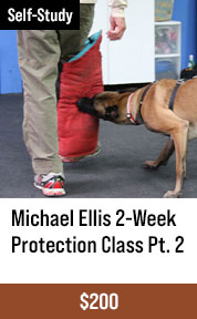 Protection Class - Part 2