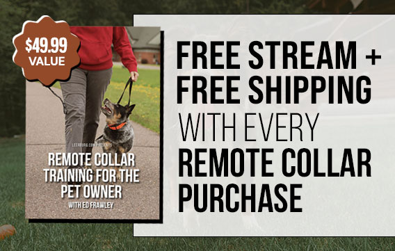 Free Stream + Shipping with Every Remote Collar Purchase