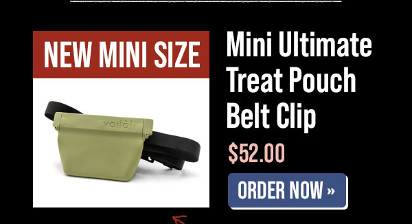 Ultimate Treat Pouch