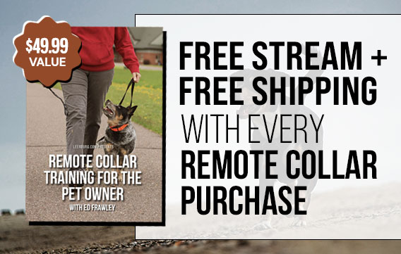 Free Stream + Shipping with Every Remote Collar Purchase