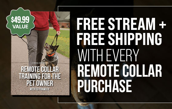 Free Stream + Shipping with Every Remote Collar Purchase
