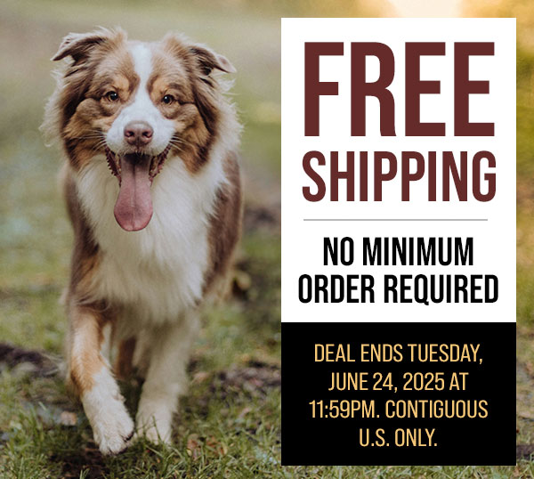 Free Shipping
