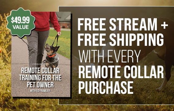Free Stream + Shipping with Every Remote Collar Purchase