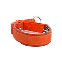 Keeper Collars Hidden Prong with Snap