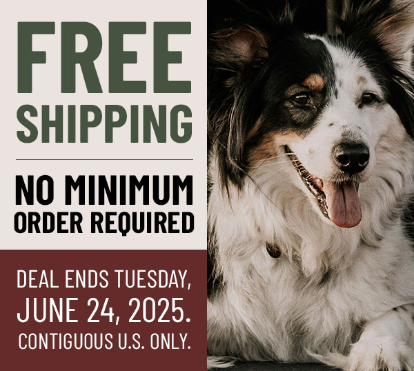 Free Shipping Until Tuesday