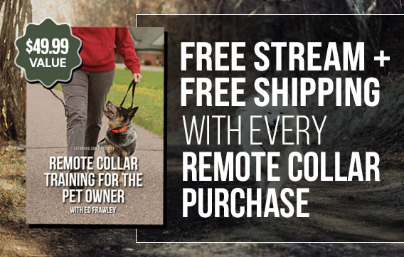 Free Stream + Shipping with Every Remote Collar Purchase