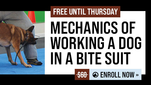 Free Course