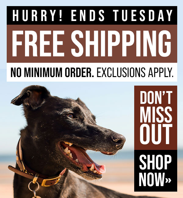 Free Shipping Until Tuesday