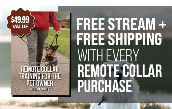 Free Stream + Shipping with Every Remote Collar Purchase