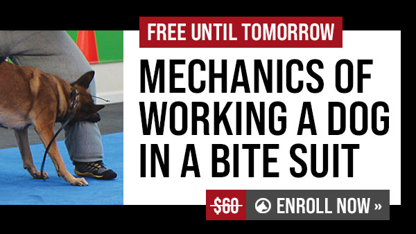 Free Course
