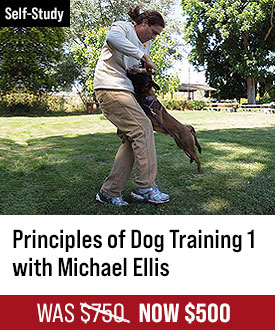 Principles of Dog Training 1 with Michael Ellis