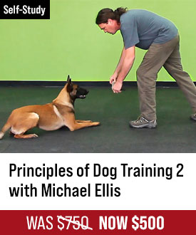 The Principles of Dog Training 2 with Michael Ellis