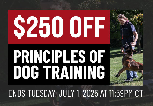Get $250 Off Principles of Dog Training 