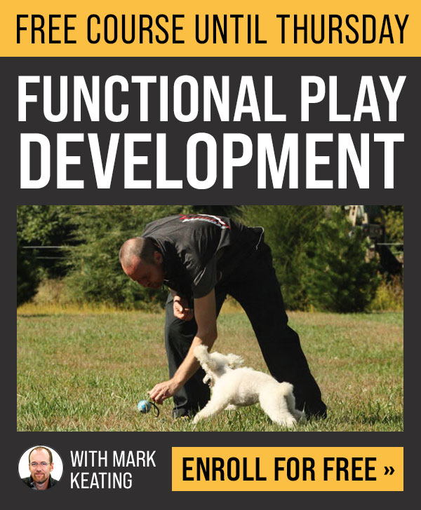 This Week's Free Course: Functional Play Development