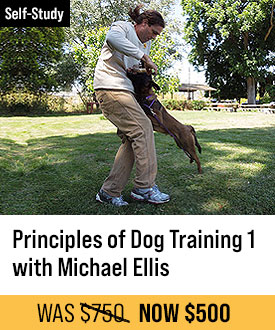 The Principles of Dog Training 1