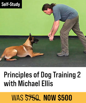 The Principles of Dog Training 2