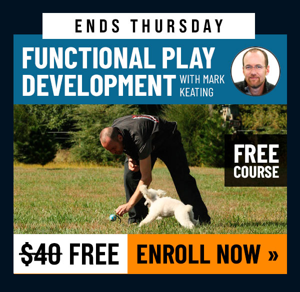 This Week's Free Course: Functional Play Development