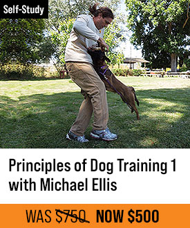 The Principles of Dog Training 1
