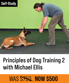 The Principles of Dog Training 2