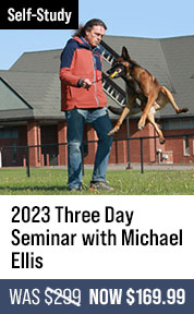2023 Three Day Seminar with Michael Ellis
