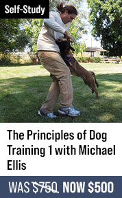The Principles of Dog Training 1