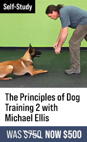 The Principles of Dog Training 2