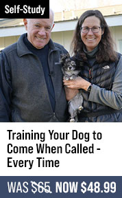 Training Your Dog to COME When Called - EVERY TIME