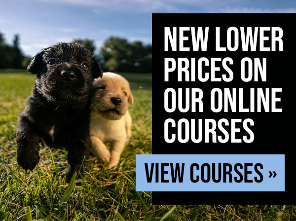 New Lower Prices on Courses