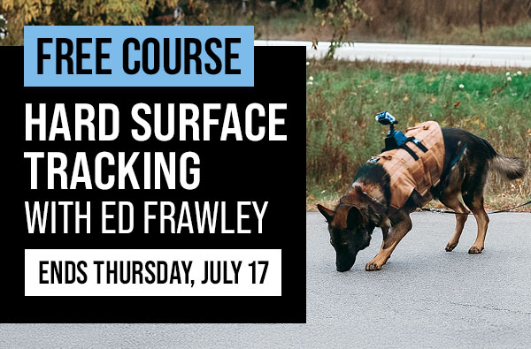 This Week's Free Course: Hard Surface Tracking