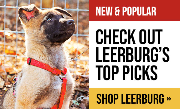 Leerburg's Top Picks