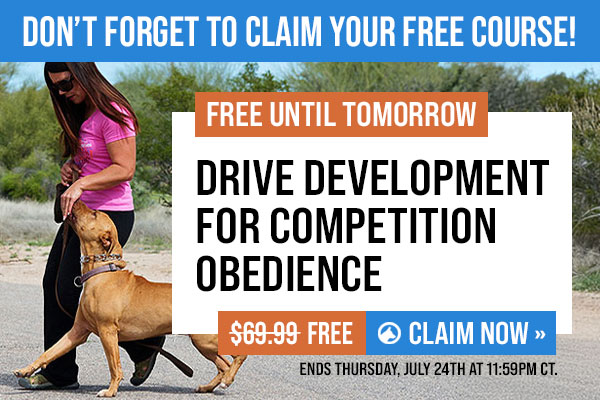 This Week's Free Course: Drive Development for Competition Obedience