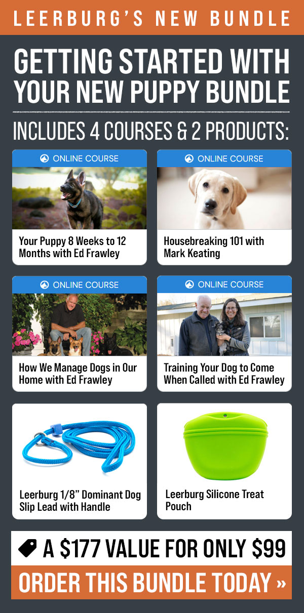 Getting Started with Reward Based Training Bundle