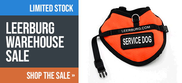 Leerbug Warehouse Sale
