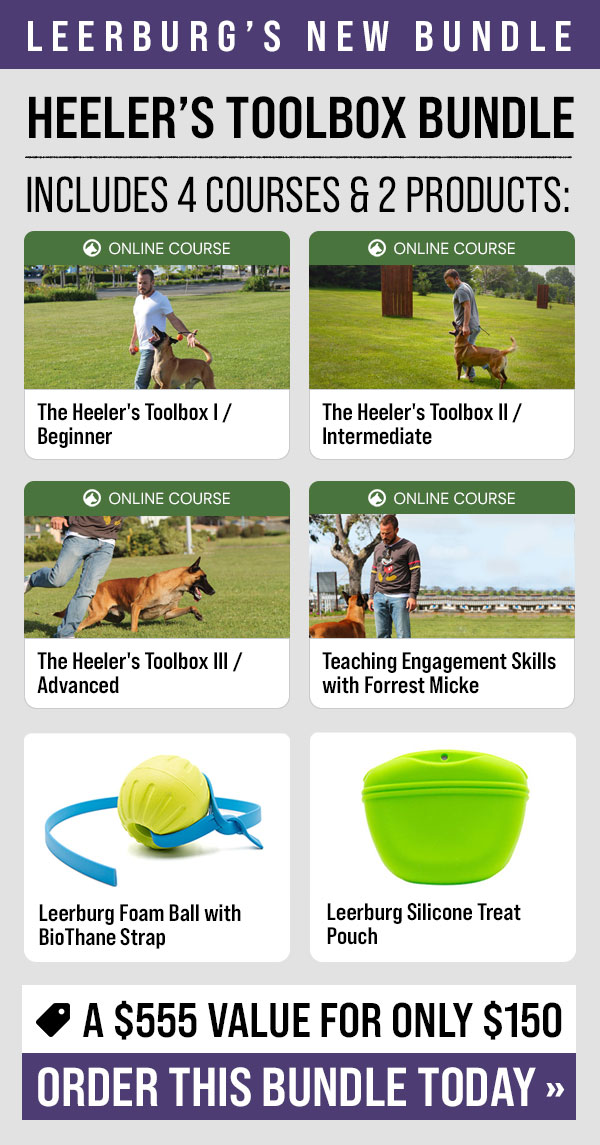 Getting Started with Reward Based Training Bundle